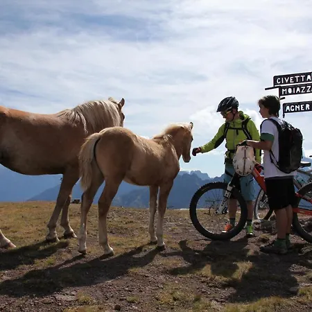 Apartamento Cesa Al Monech Selva di Cadore