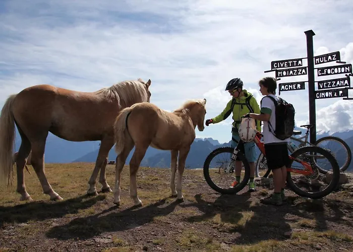 شقة Cesa Al Monech سيلفا دي كادوري