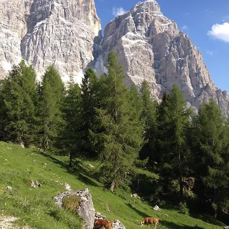 Apartmán Cesa Al Monech Selva di Cadore