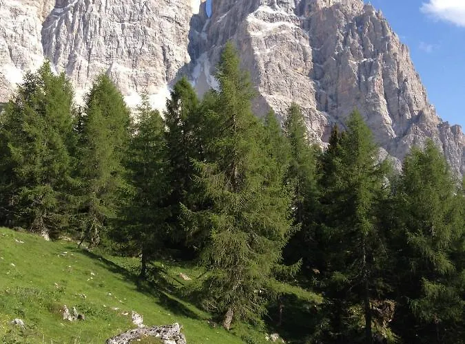 Daire Cesa Al Monech Selva di Cadore